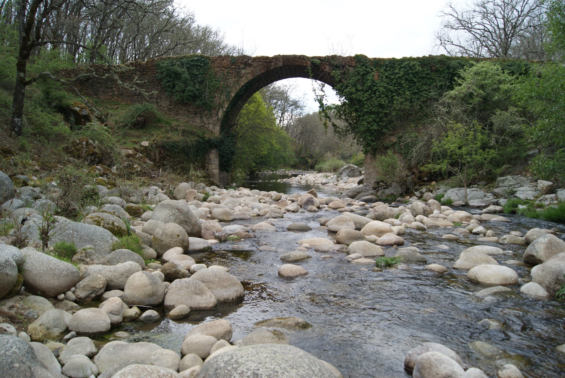 NATURALEZA